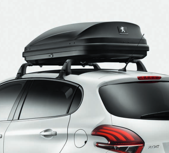 Peugeot 208 box da tetto